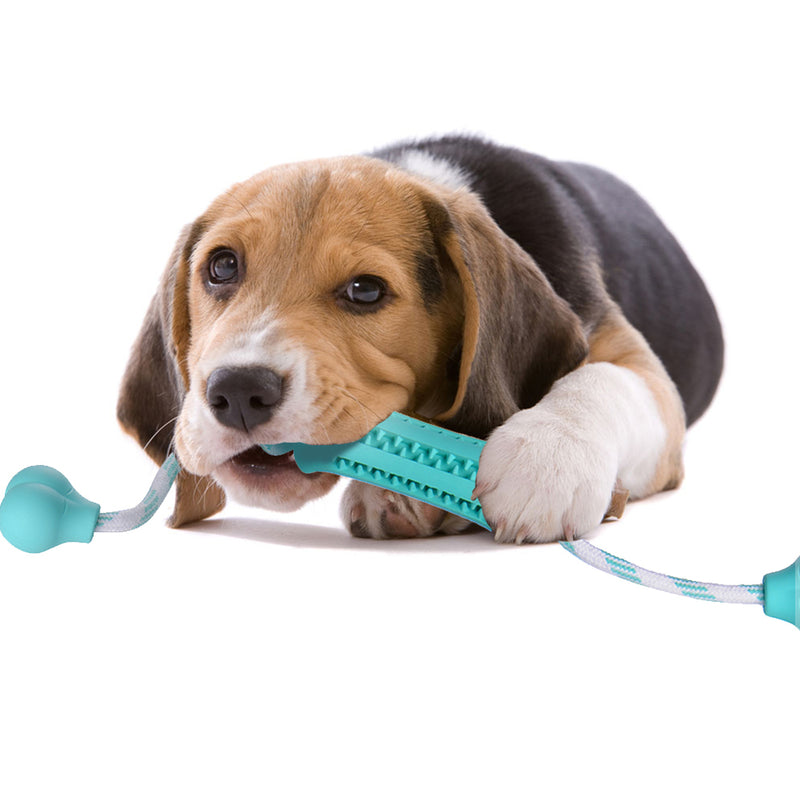 Rubber Dental Massager (15cm)