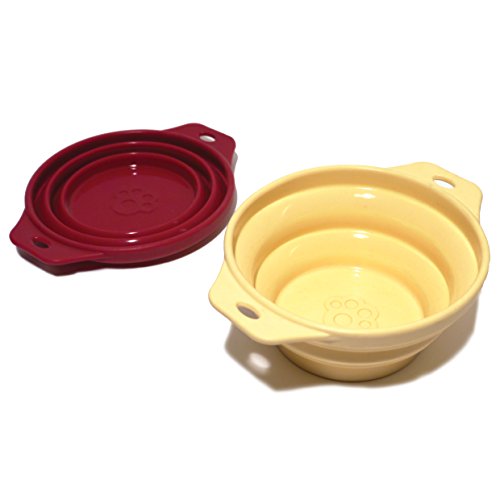 Collapsible Silicon Bowl