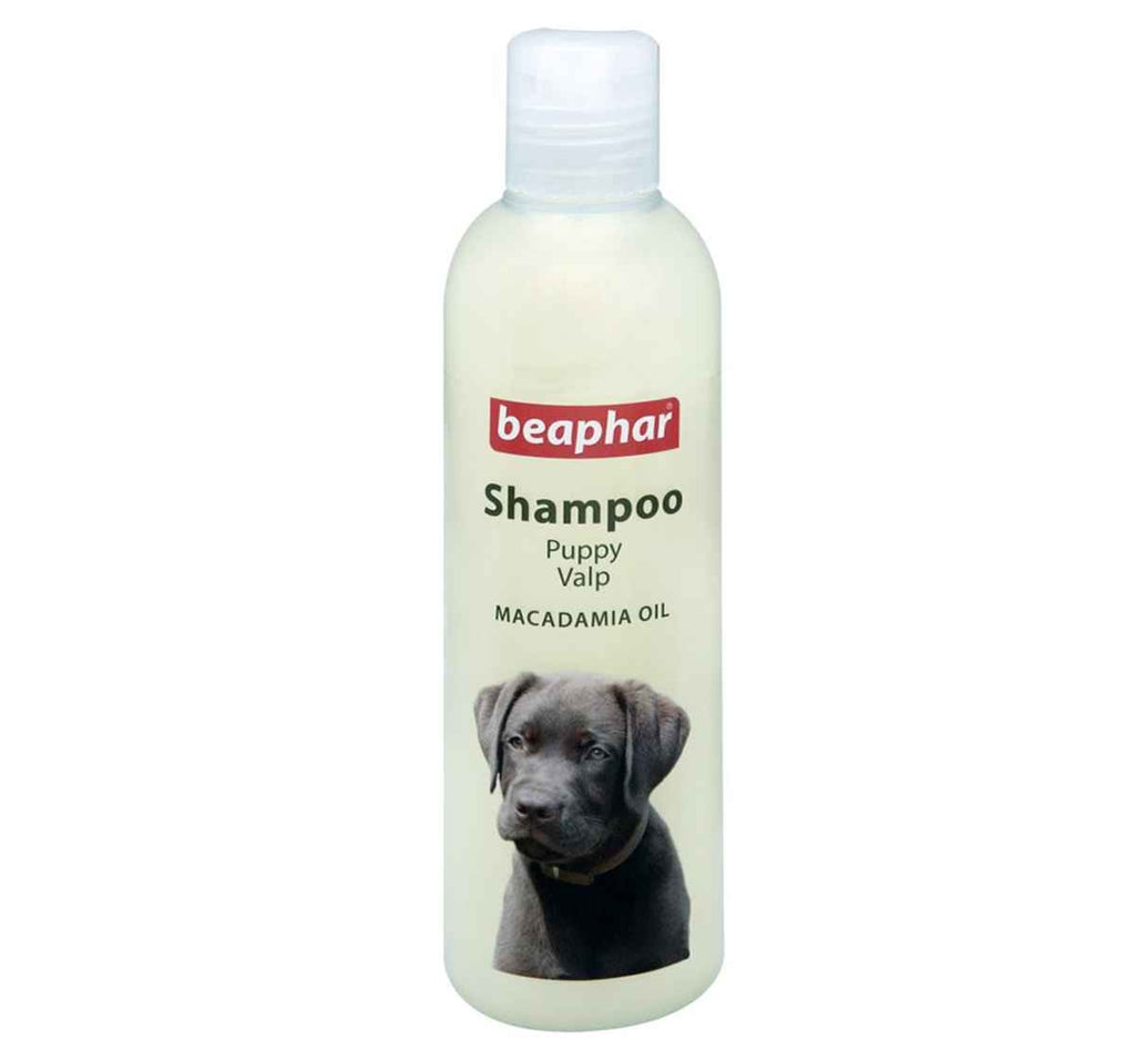 Puppy Shampoo Macadamia Oil